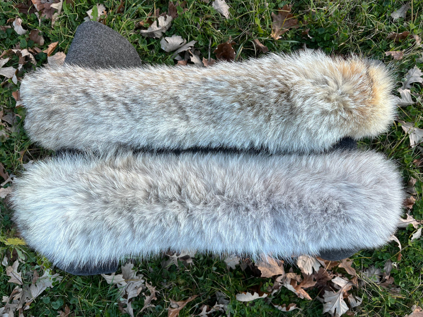 Coyote and Merino Wool Headband/Neck Warmer