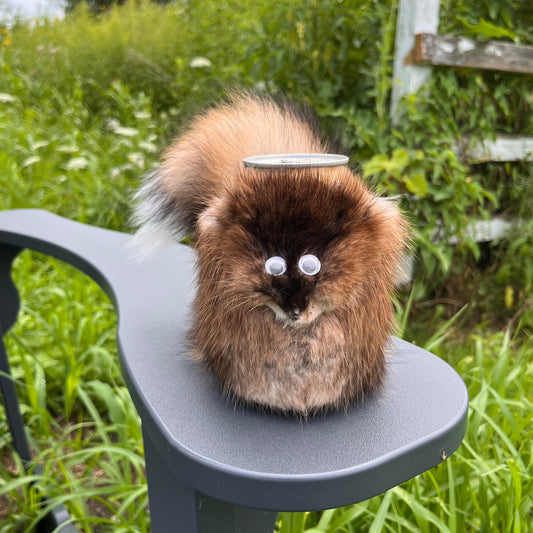 "Franken-Squoozie" Squirrel Can Cooler