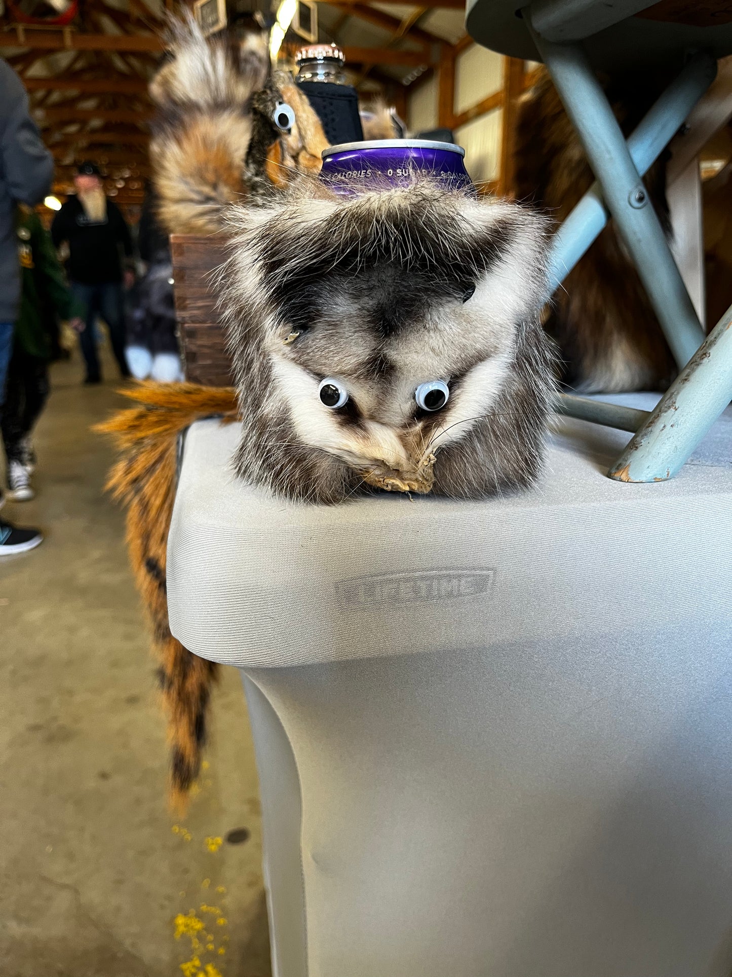 Opossum Can Cooler