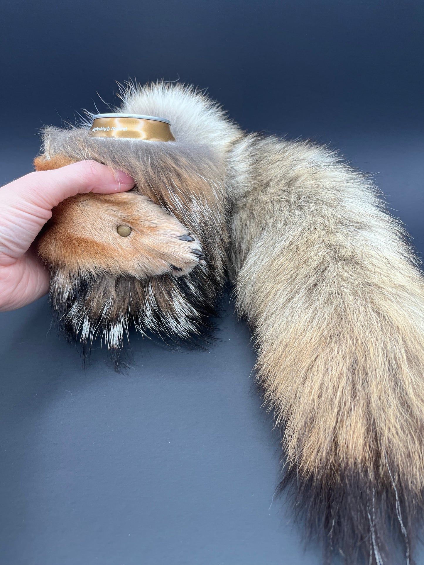 Coyote Paw & Tail Can Cooler