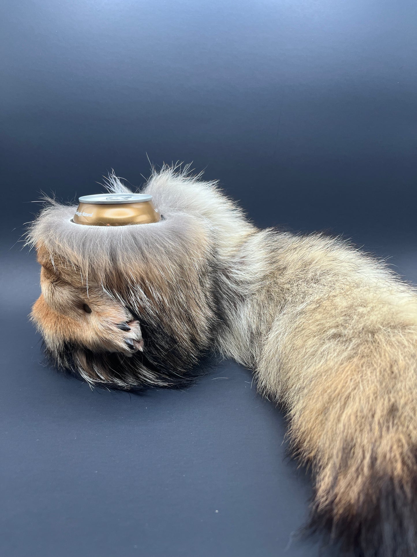 Coyote Paw & Tail Can Cooler
