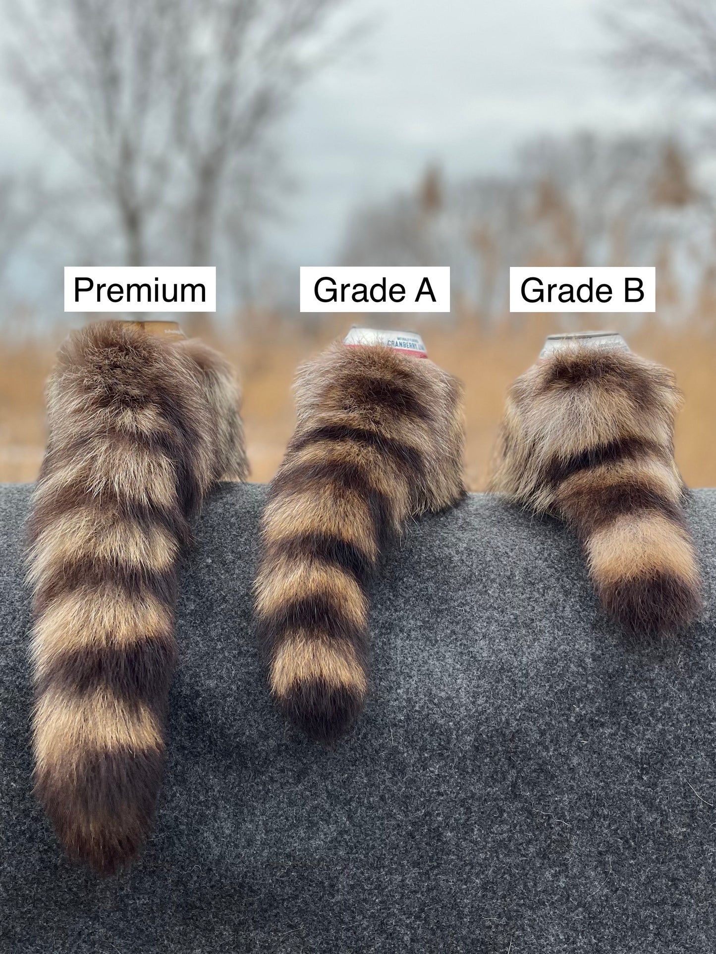 Raccoonzie Raccoon Tail Can Cooler PREORDER