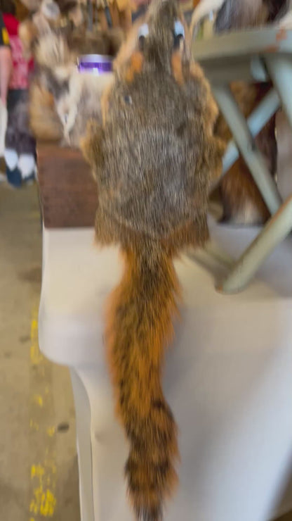 “Squoozie” Squirrel Bottle Cooler