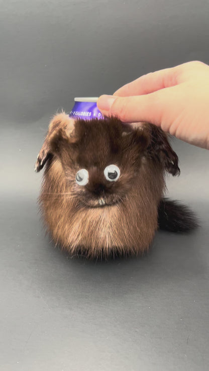 Mink fur Can Cooler with Paws, Eyes, Face and Tail